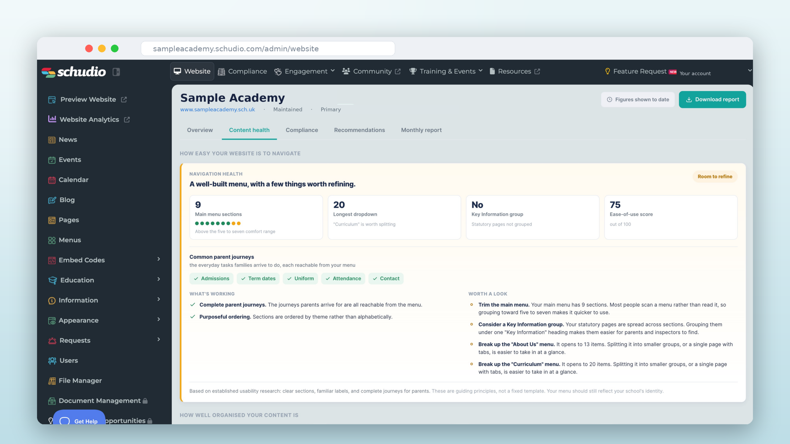 The Website Insights dashboard shown in a browser window, with navigation health and an ease-of-use score